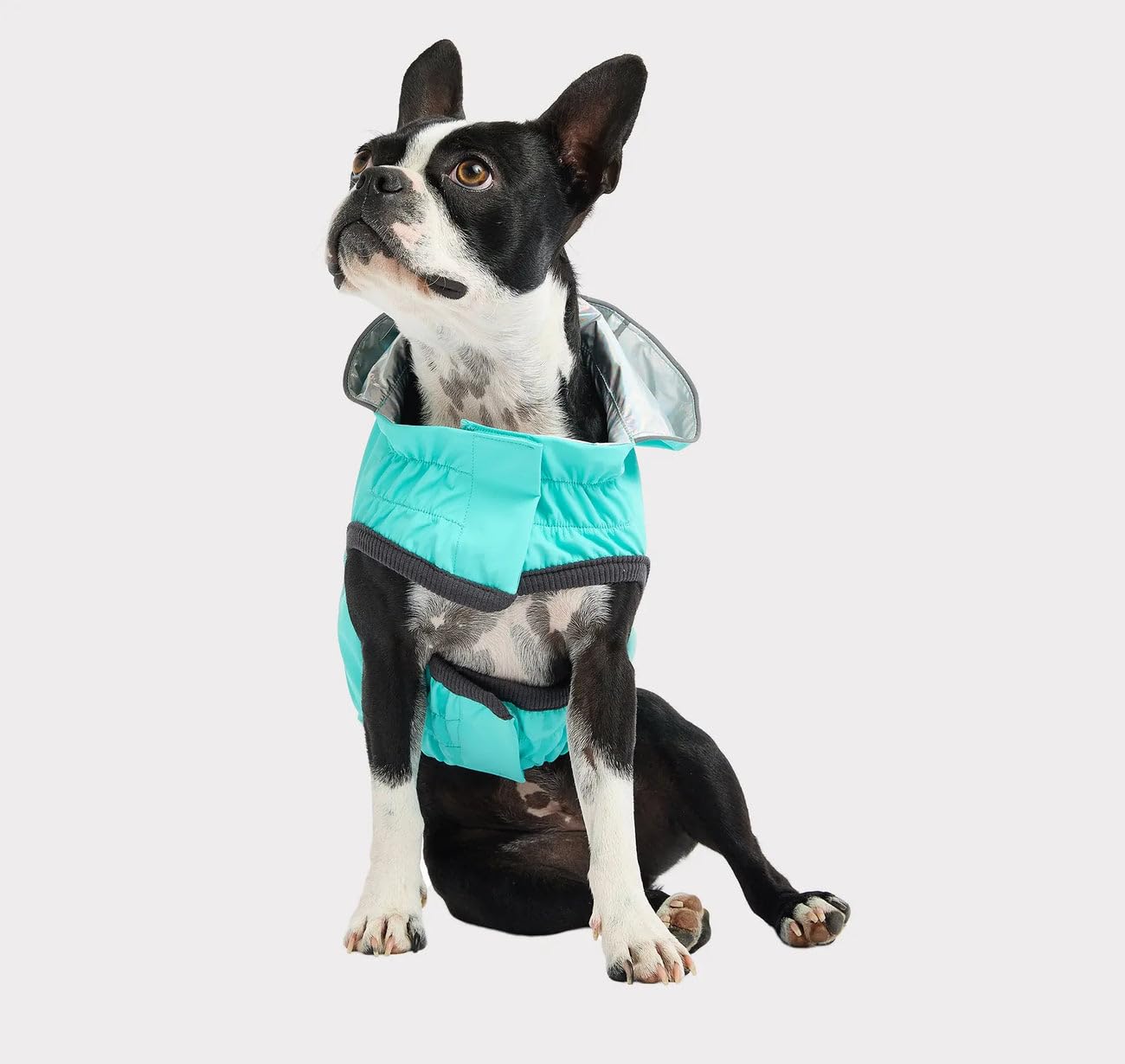 GF Pet Reversible Raincoat - Regenjacke- wasserdichte Hundebekleidung- Größe M Hundemantel Rückenlänge 38cm- Neongelb mit Krawattenfärbung
