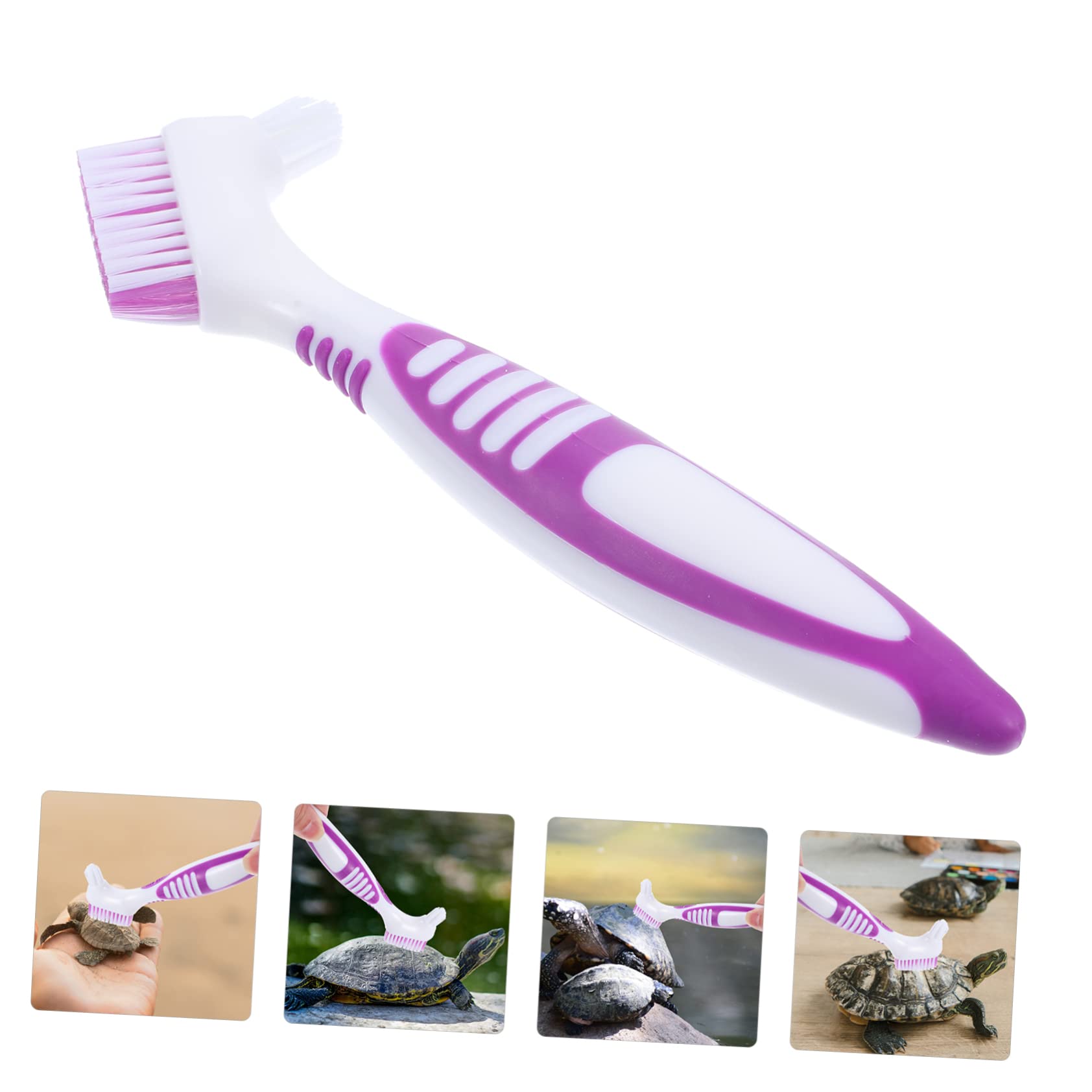 PENIKOKO Schildkröten Reinigungsbürste Mit Saugnapf - Pflegeleicht Und Praktisch
