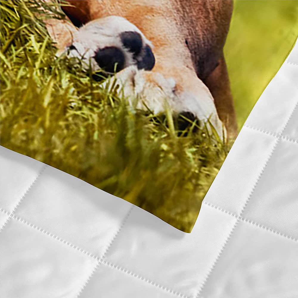 Couvre Lit Matelassé De Luxe Chickw1 Couvre Lit Matelassée 3D Imprimé De Fleur Dessus De Lit Doux Dessus De Lit Shabby