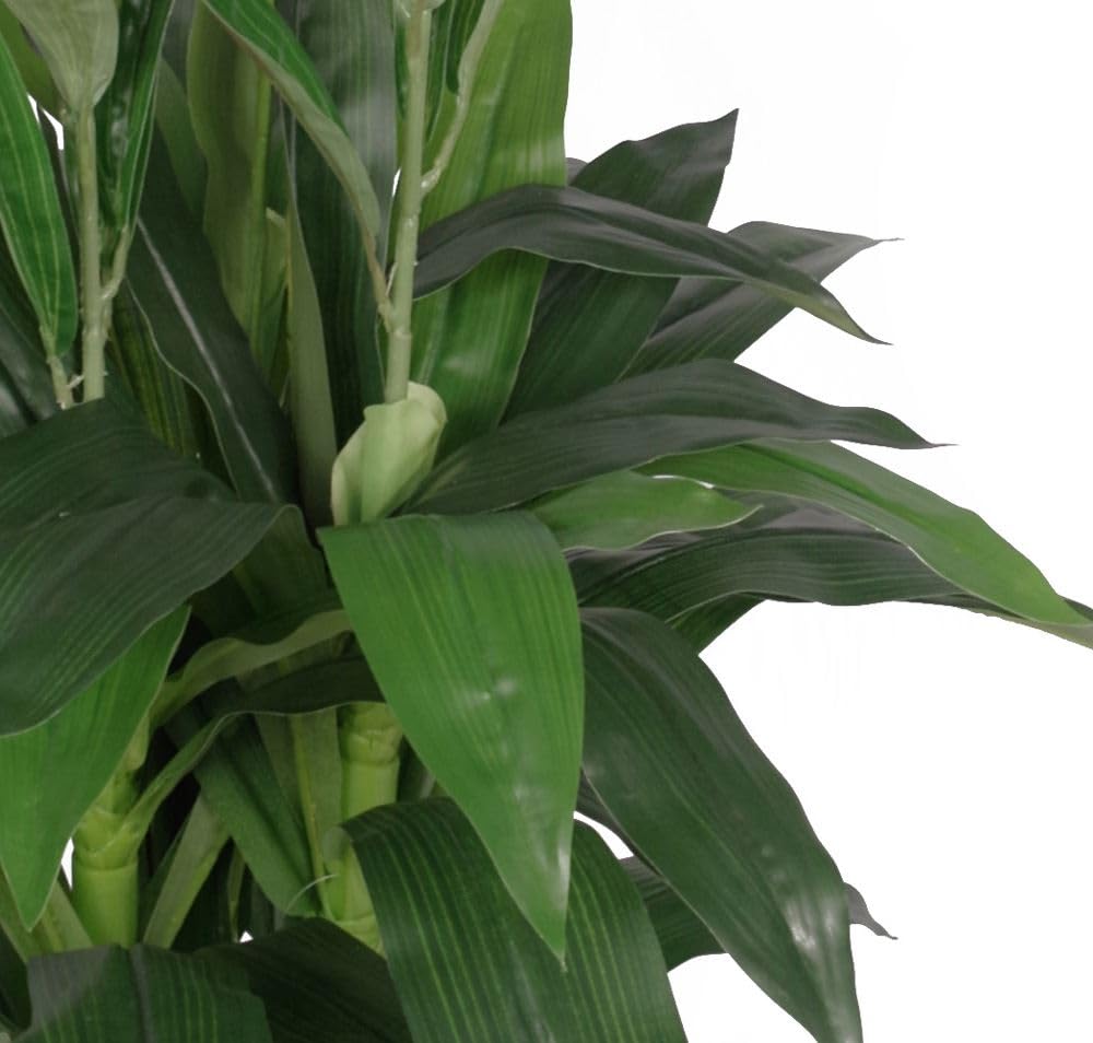 Leaf Feuille d'Orchidée Artificielle Cymbidium - Pot en Plastique Noir - Fleurs Blanches - 100 cm