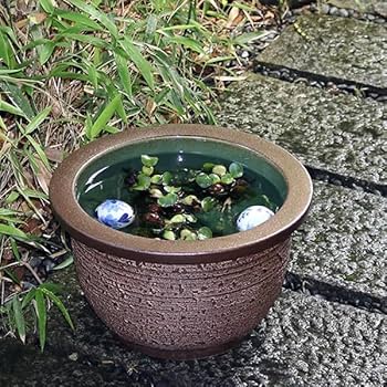 信楽焼 天水鉢 睡蓮鉢 メダカ鉢 直径56㌢ Amazon.co.jp: 信楽焼 メダカ鉢