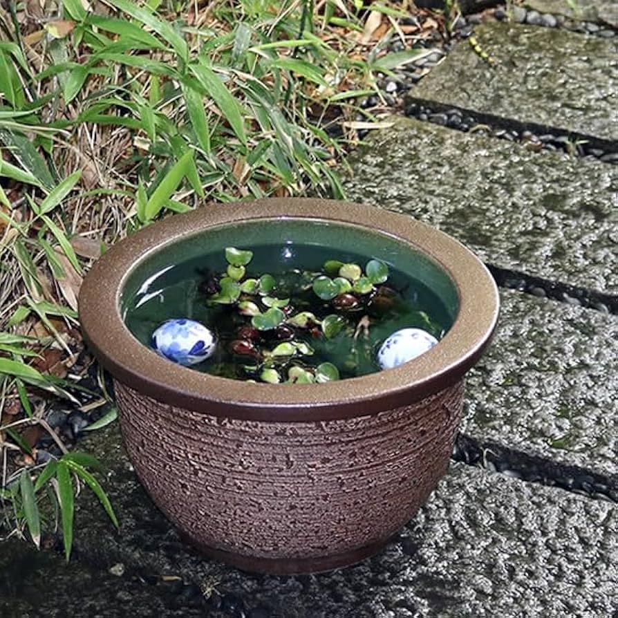 ｔｏｋｏ 信楽焼 メダカ鉢 睡蓮鉢 水鉢セット販売  直径各24.5cm toko 信楽焼 メダカ鉢 睡蓮鉢 水鉢セット販売 直径各24.5cm