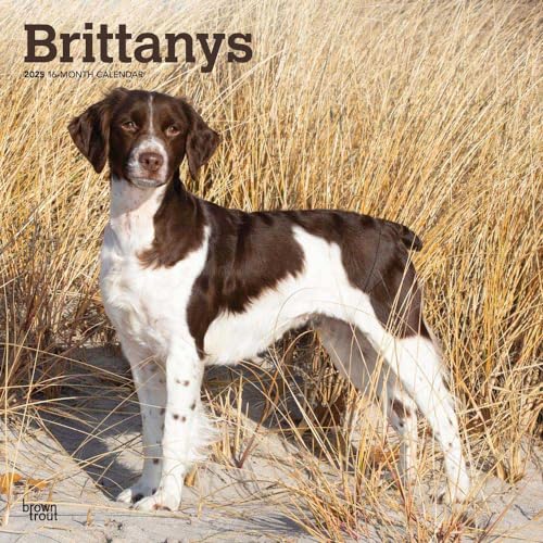 Brittanys | 2025 12 x 24 Inch Monthly Square Wall Calendar | Plas...