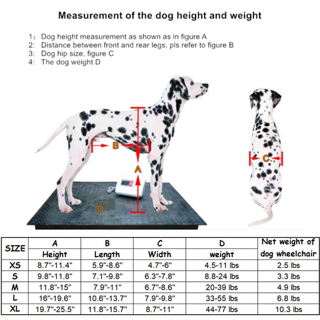 Sedia a Rotelle per Cani Cura dell'Anca e delle Articolazioni 2 Ruote Addestramento Riabilitativo per Animali Domestici Regolabili per la Riparazione della Gamba Posteriore Gambe Posteriori