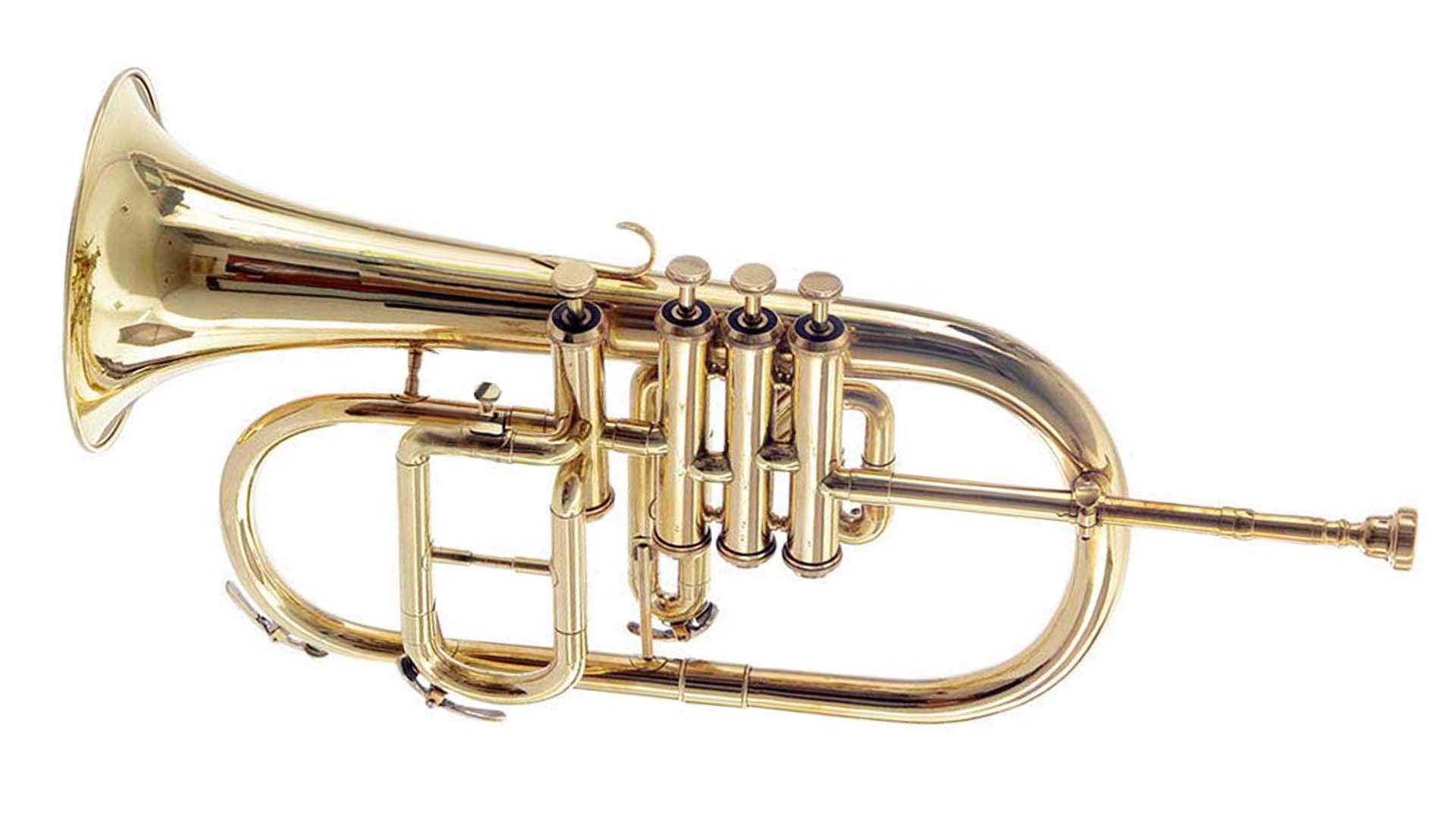 SHREYAS BRASS FINISH FLUGLE HORN 4 VALVE SPL FLUGELHORN - Image 3
