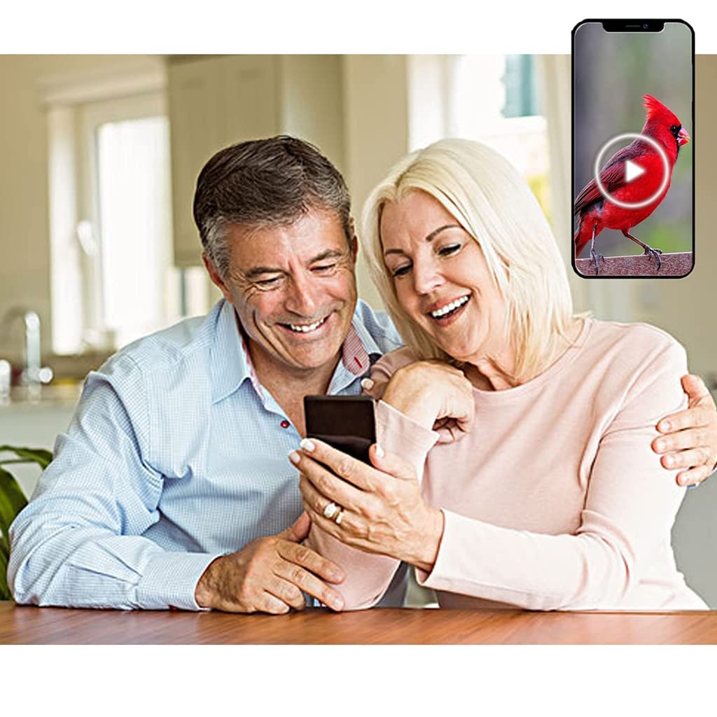 Cámara de comedero de pájaros para ventana 2 en 1, alimentador de pajarera con cámara espía HD Mini 1080p WiFi juntos, para observación de aves, capturar fotos, compatible con teléfono celular, tarj