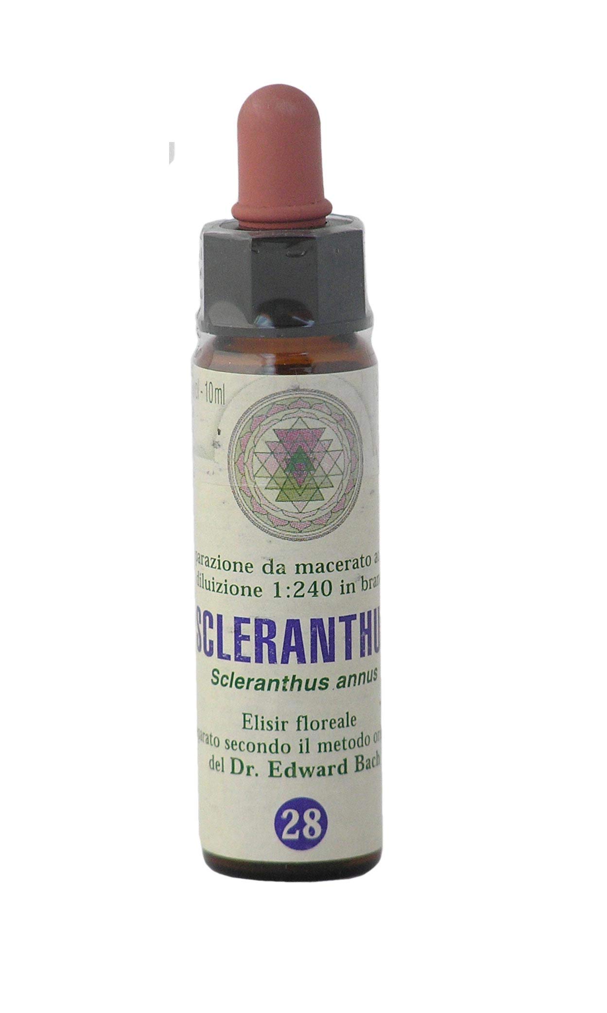 Gesundheit & Wellness
