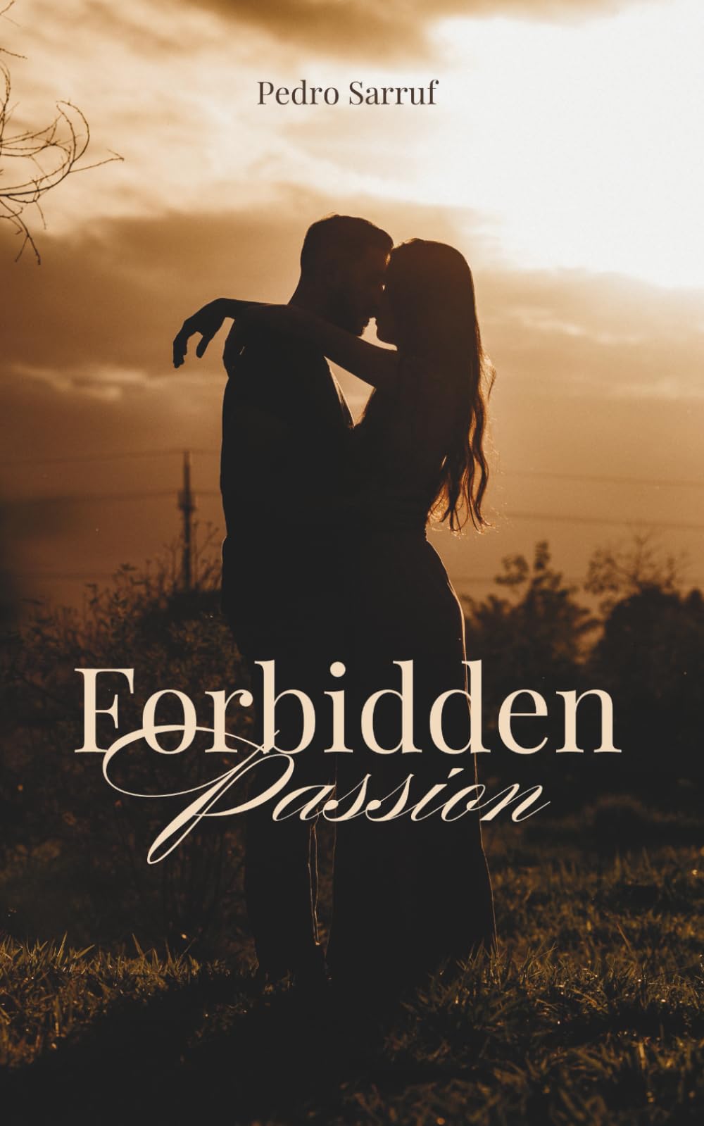 Forbidden Passion