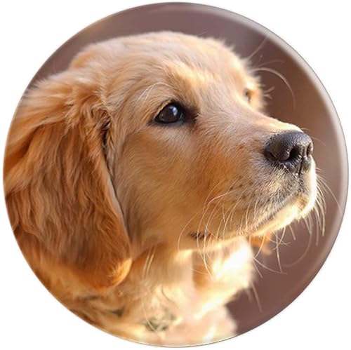 Miniatura 4 de Golden Retriever Puppy  PopSockets Grip y soporte para teléfonos y tabletas