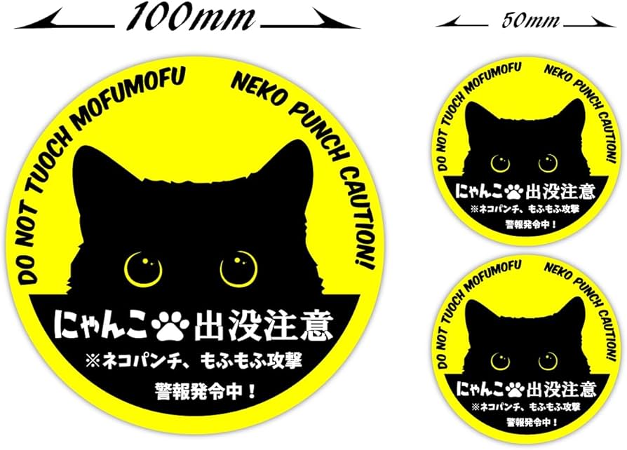 61Omqjr74mL._AC_UF894,