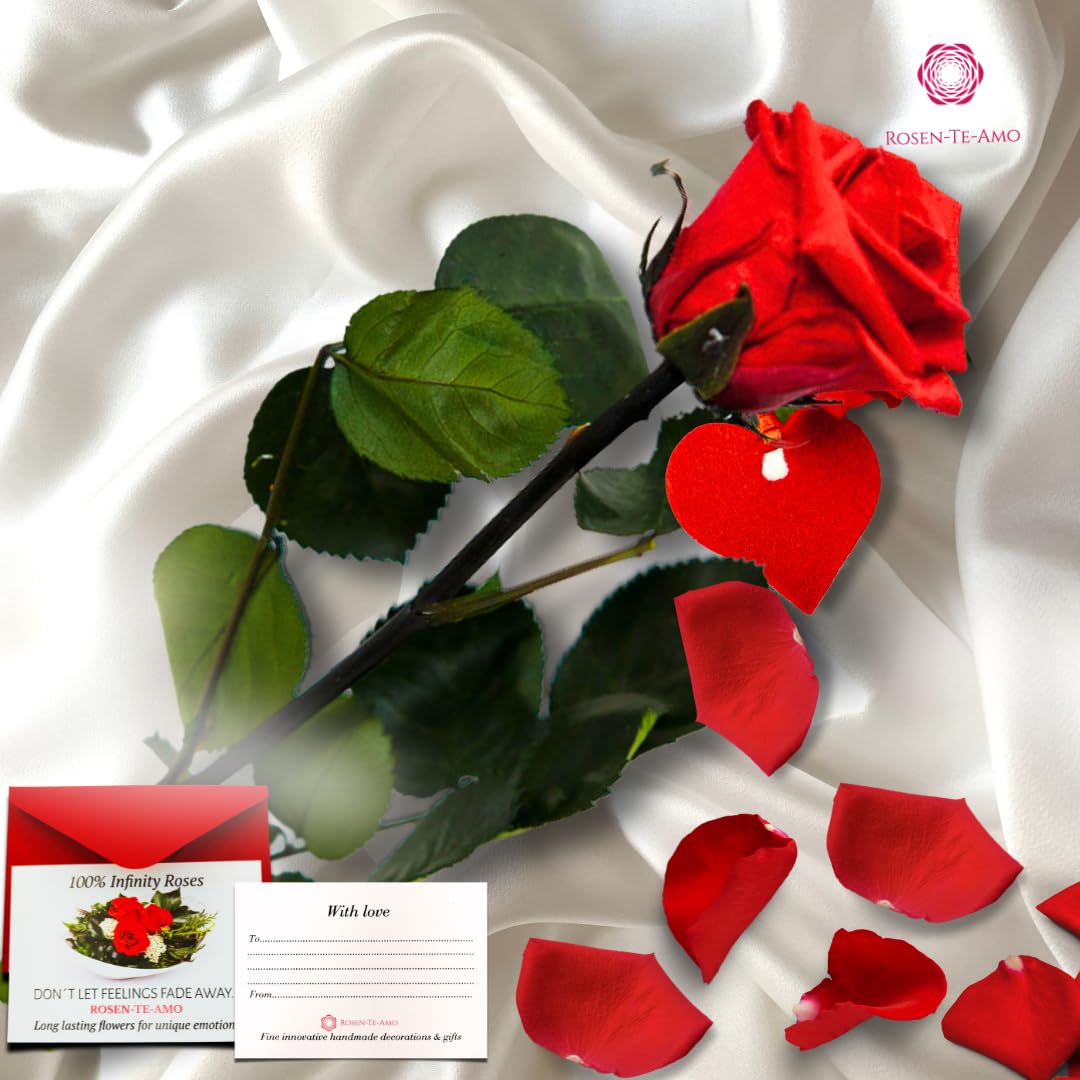 Rosen-Te-Amo | regalo Festa della Mamma | Rosa vera stabilizzata profumata "San Valentino" e biglietto auguri | Rosa eterna rossa | idea regalo compleanno, San Valentino, Natale | Regalo Donna