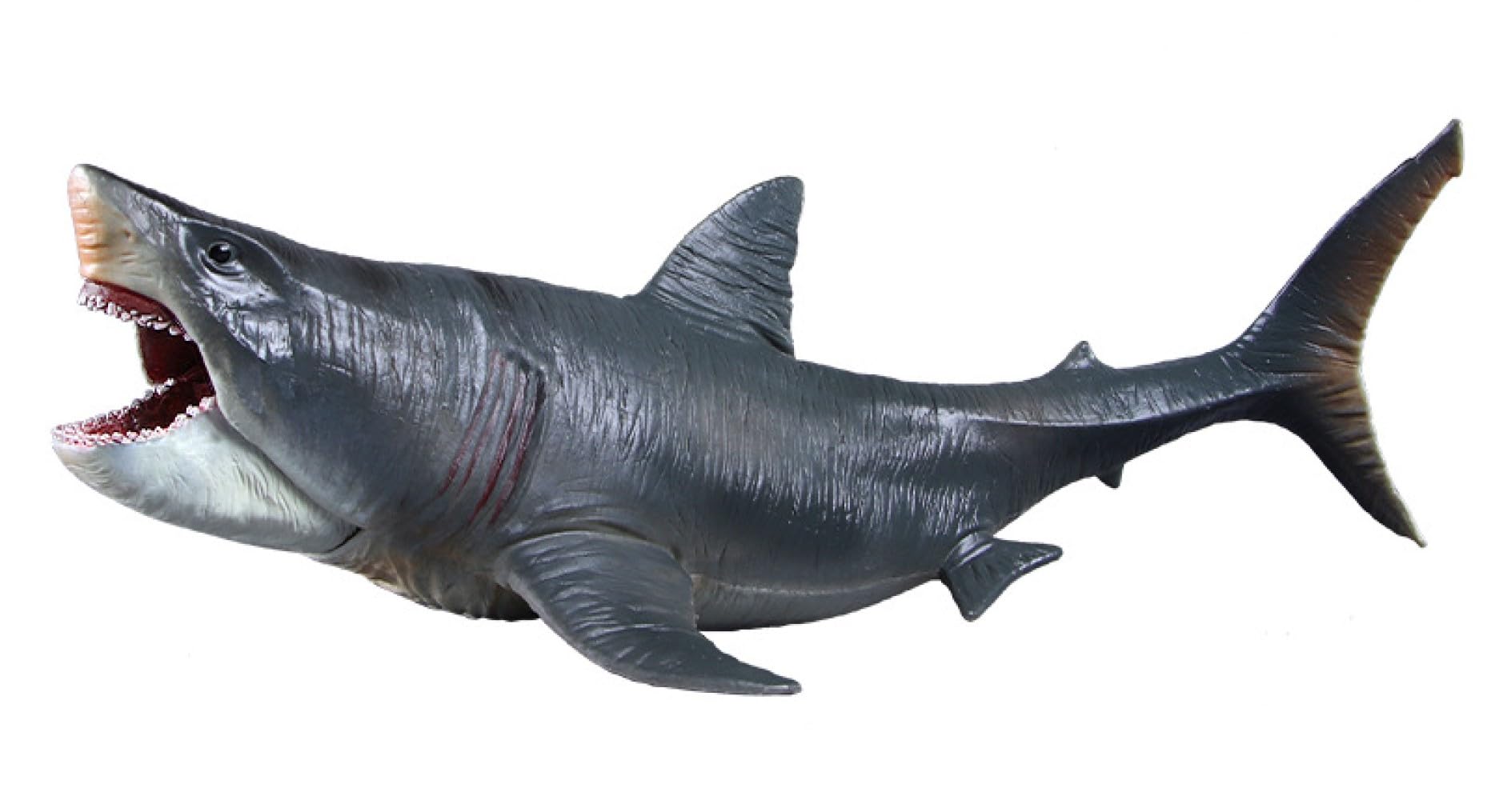 SanDoll Dinosaur Figure, Realistic Model, Jurassic Period, 11.8 inches (30 cm), Reptiles, Impressive, Carnivore, Children's Toy, Present, Display, Return Assurance Included (Megalodon) Megadron