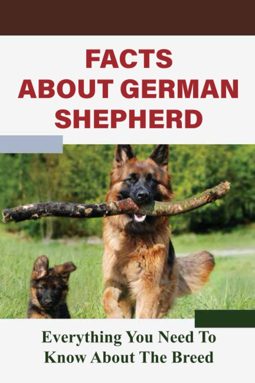 Facts About German Shepherd: Everything You Need To Know About The Breed