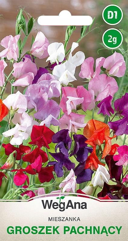 WegAna Duftende Platterbse Samen 2g, Farbmischung, Farbenreiche Kletterpflanze, Gartenpflanzen Balkonpflanzen, Bienenweide, Blumen Saatgut, Blumensamen