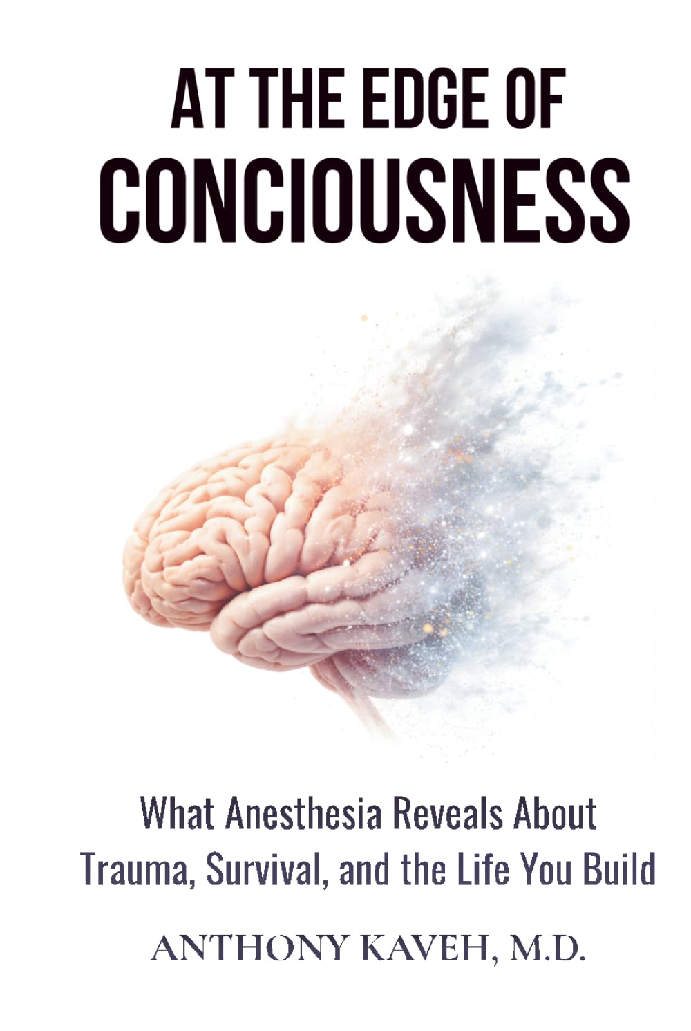 At the Edge of Consciousness: What Anesthesia Reveals About Trauma, Survival, and the Life You Build