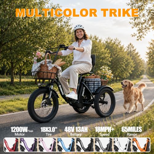 Ligood T300 Folding Electric Tricycle