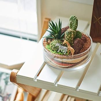 Amazon.co.jp: ジオラマ寄せ植え [イイハナ・ドットコム