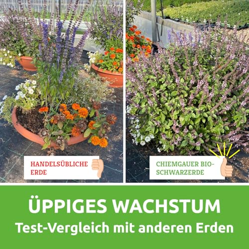 Terra Preta Fischer’s EM-Chiemgau Bio Blumenerde torffrei mit Mikroorganismen