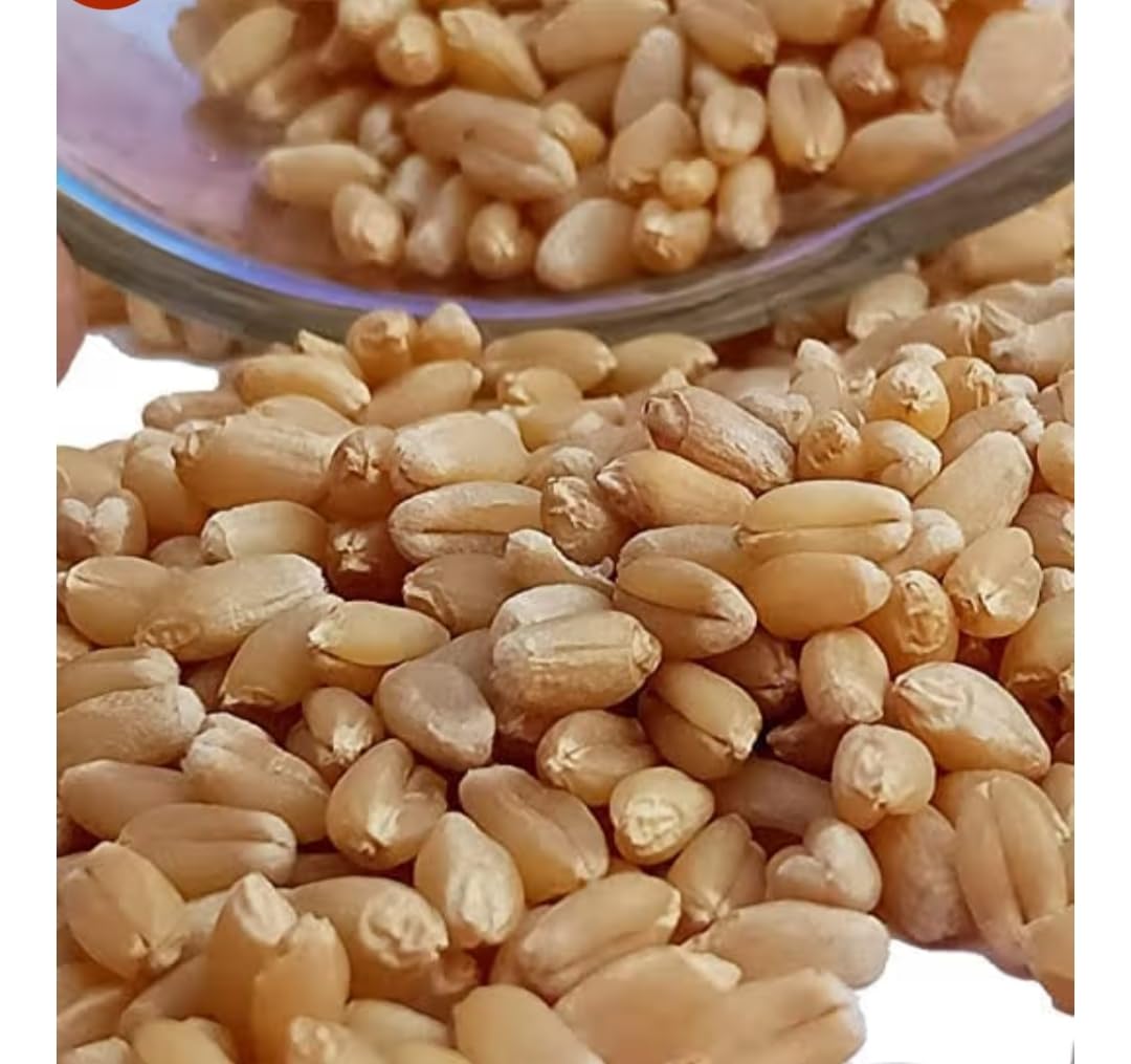 Lokwan Grade One Wheat 1Kg (BUY 1 GET 1)