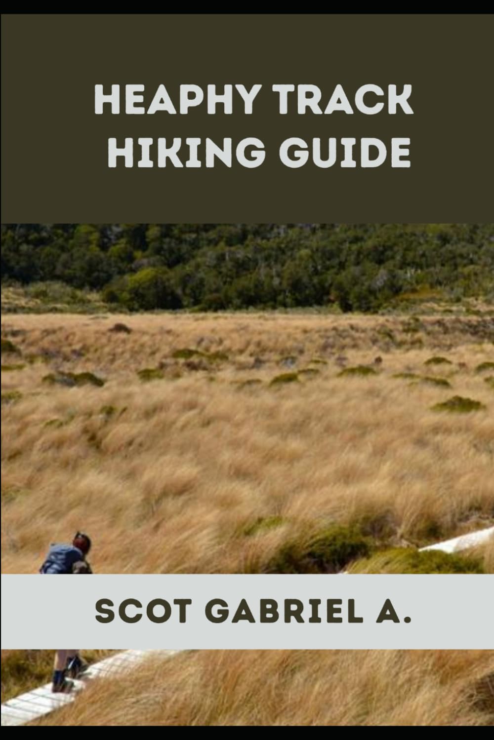 HEAPHY TRACK HIKING GUIDE (The Explorer’s Hiking Collection)