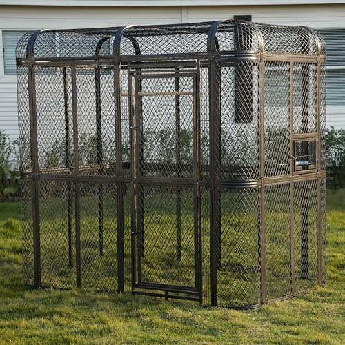 Large Walk-in Cage 77-inch Heavy Duty Birdcage Outdoor...
