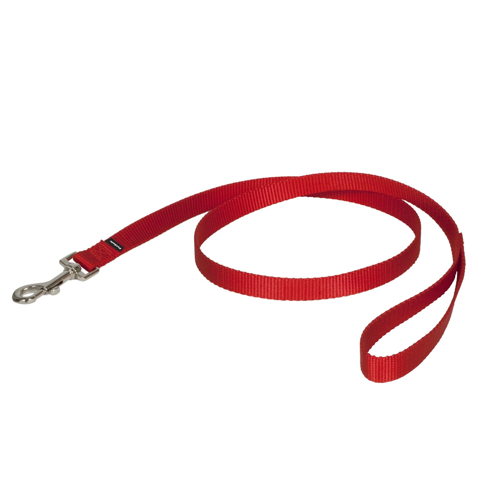 PetSafe Nylon Dog Leash - Strong, Durable, Traditional Style Leash with Easy to Use Bolt Snap - 3/4" x 4', Red