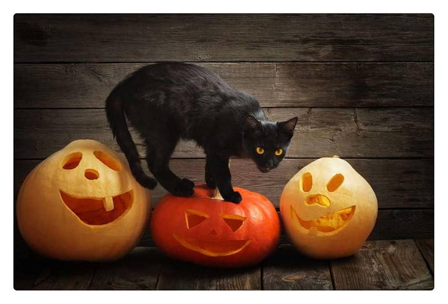 Amazon | パズル500ピース木製パズル黒猫とジャック・オー