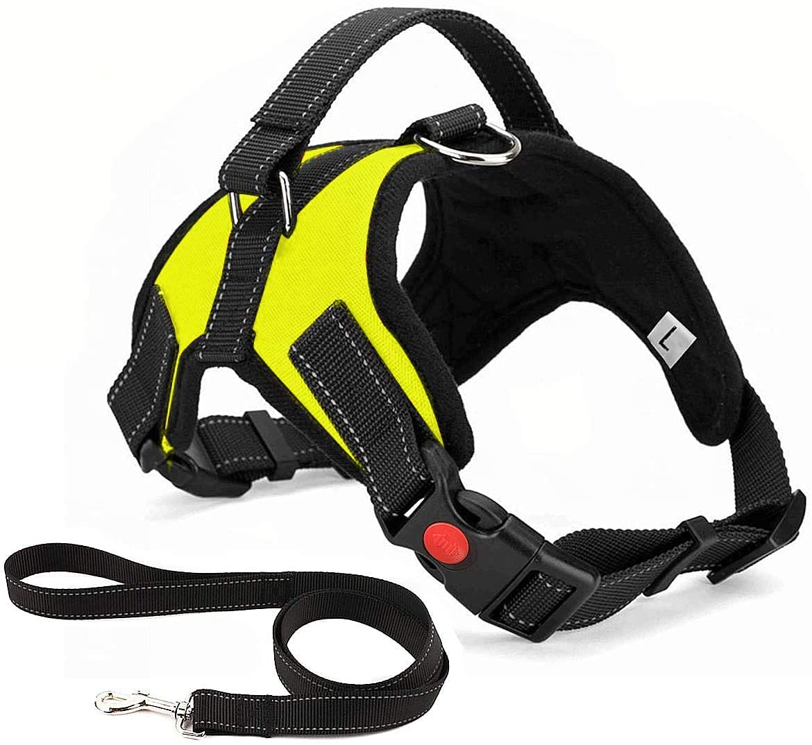 Pettorina per Cane, Traspirante, Regolabile, Comodo, guinzaglio Incluso, per Cani di Taglia Piccola, Media e Grande, Ideale per addestrare Le Passeggiate