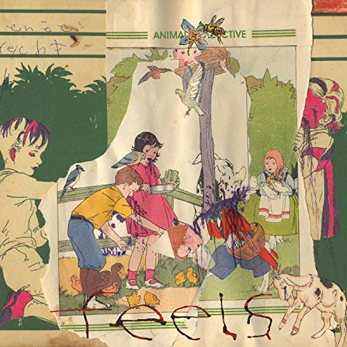 Album Art for Feels by Animal Collective