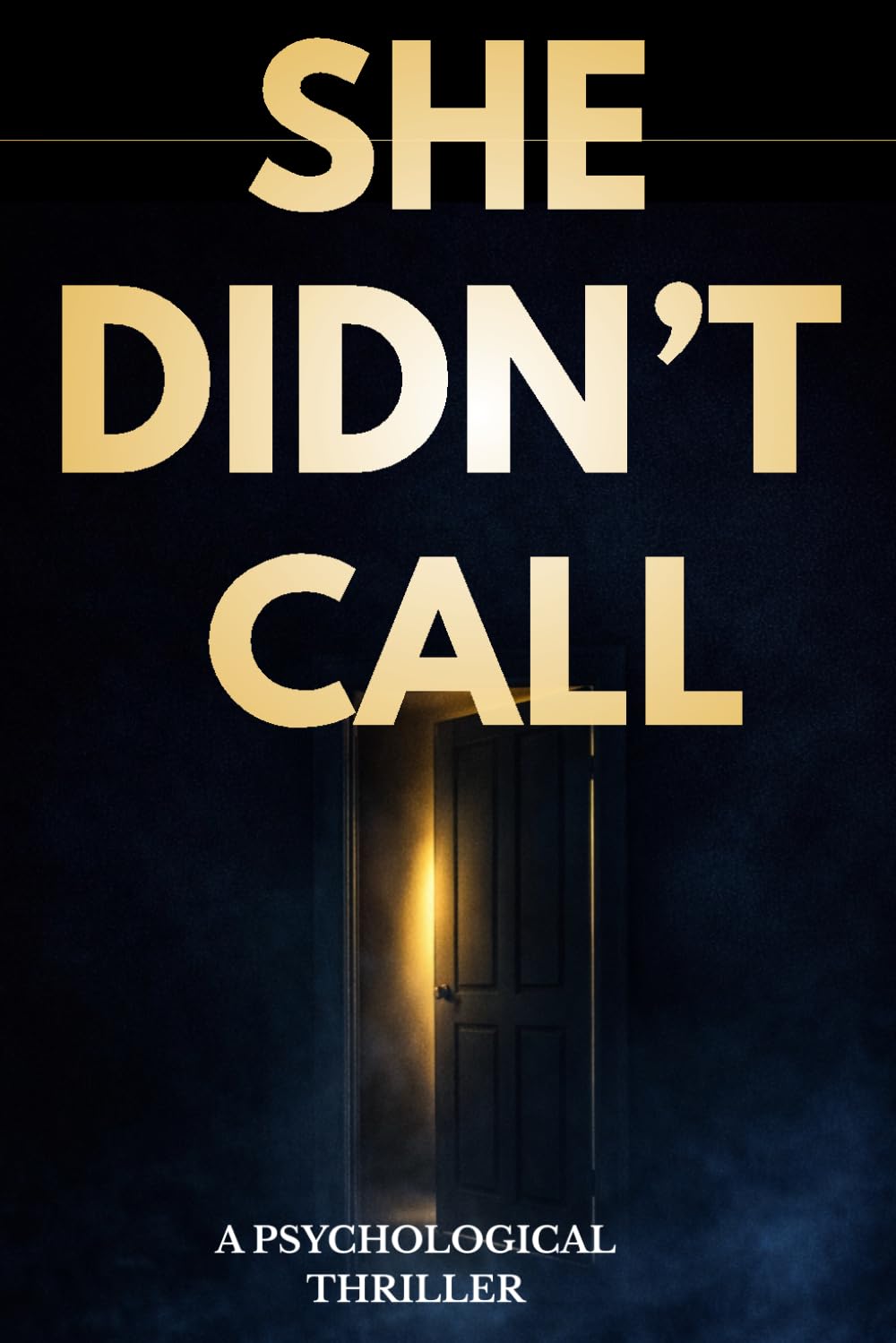 She Didn’t Call: A Gripping Psychological Thriller