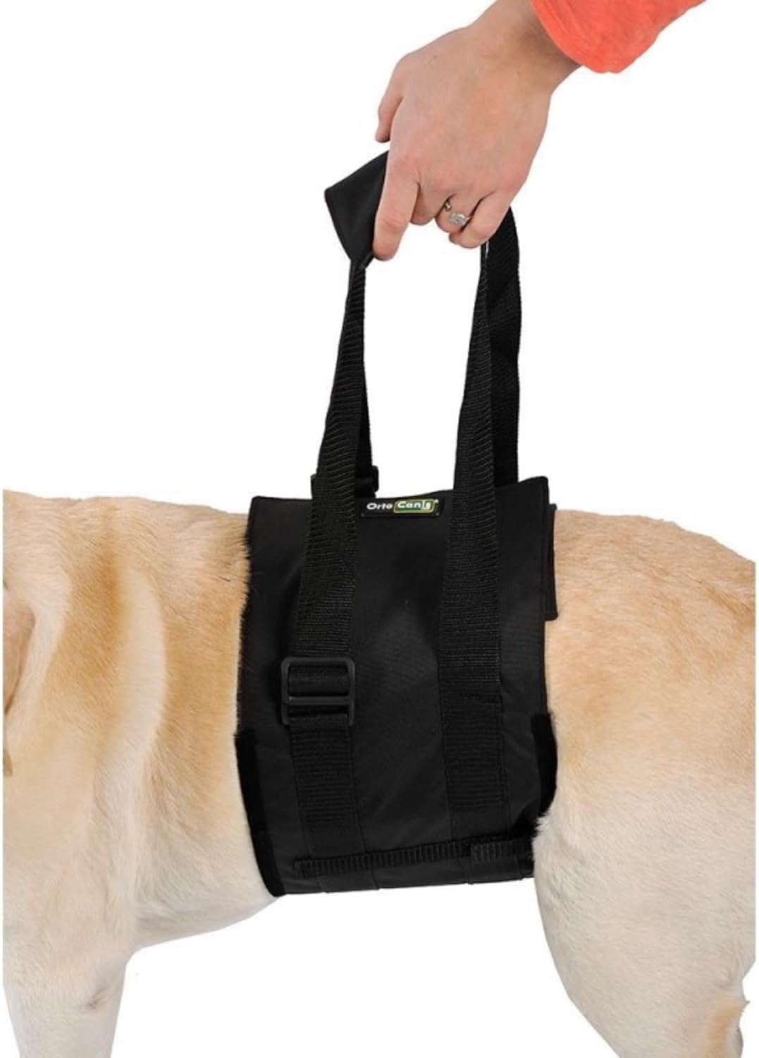 Ortocanis - Walking Aid. Support Harness for Dogs with Mobility Problems. Hind Leg Support. Size L