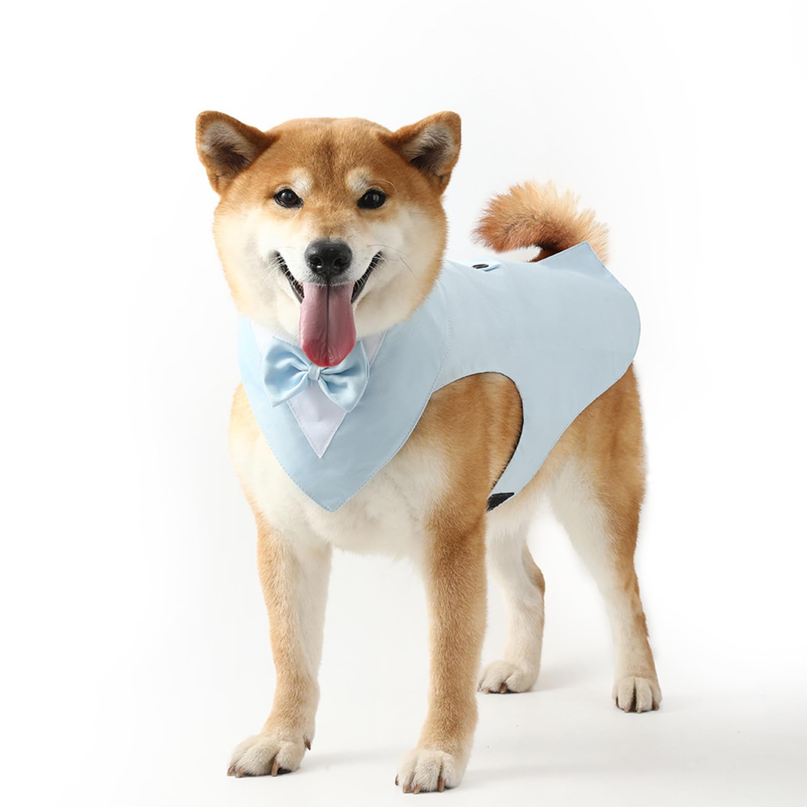 Personalised Dog Tuxedo Bow Tie Suit,Custom Clothing & Accessories For Dogs With Embroidered Name,Dog Costume For Dogs Birthday Halloween Wedding Party (Light Blue(Suit))