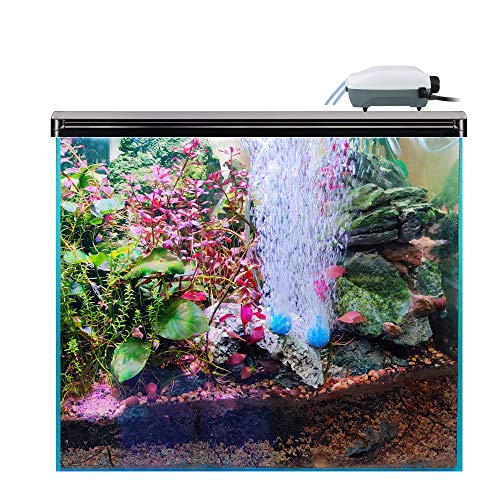 100 gallon freshwater fish tank