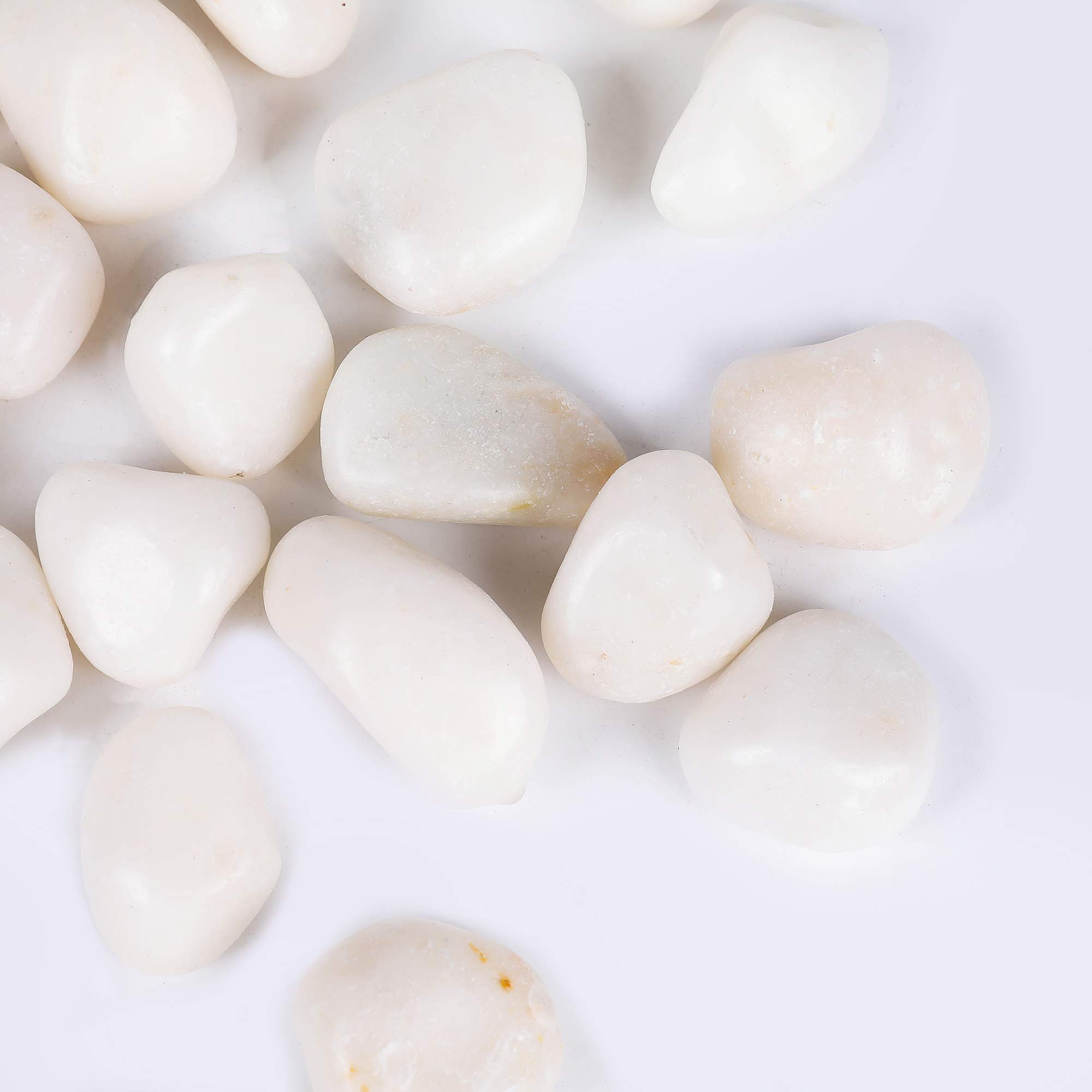 Buy ROCKIMPACT 5.5lb Highly Polished Decorative Rocks for Planters