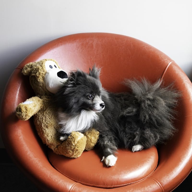 KONG Wild Knots Jumbo Bear Hundespielzeug, sortiert