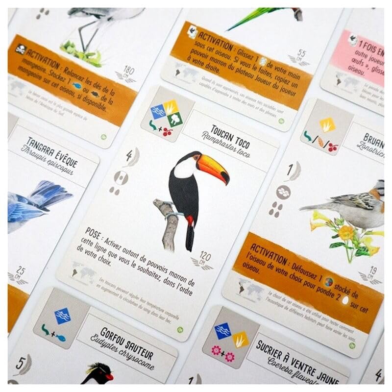 Matagot Wingspan Amériques - 4ème Extension Officielle Oiseaux du Mexique, Amérique Latine & Caraïbes | Nouvelle Mécanique Colibris | Jeu de Société 1 à 5 Joueurs dès 10 Ans | Elizabeth Hargrave