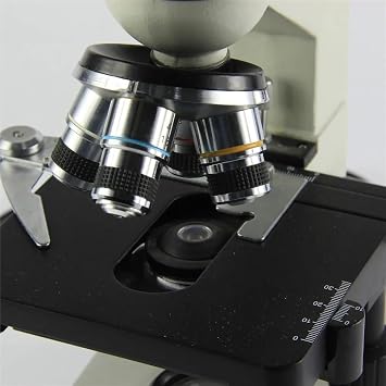 Microscope XP401 Monocular Microscopes fit for Student Lab Microscope