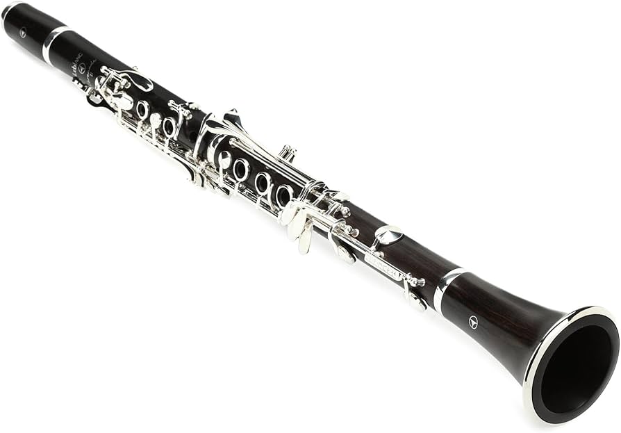 Amazon.com: Leblanc LCL511S Serenade II Soprano Bb Clarinet