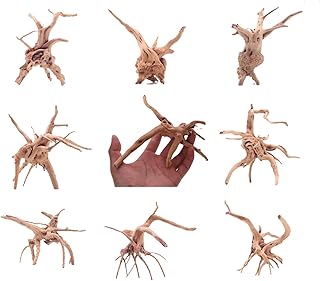 8pcs Natural Small Spiderwood Driftwood for Aquarium Decor Aquarium Driftwood Freshwater Reptile Driftwood Aquarium spiderwood (spiderwood 5-6inch 8pcs)