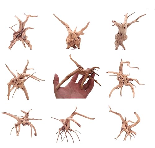 YZHZOM 8pcs Natural Small Spiderwood Driftwood for Aquarium Decor Aquarium