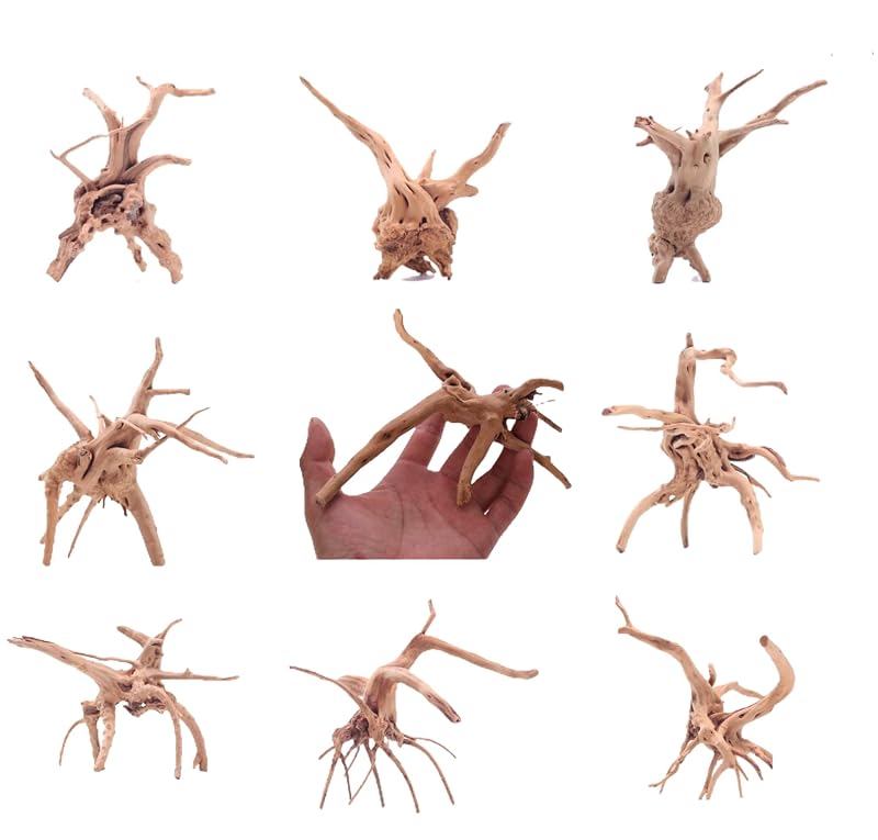 Madeira Spiderwood Natural para Aquário e Terrário YZHZOM, 8 Unidades de 12,7 a 15,24 cm