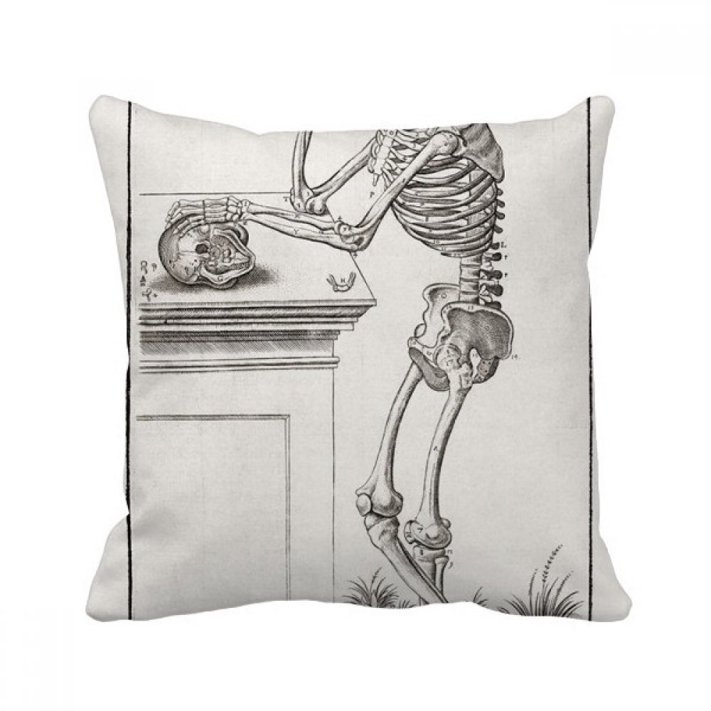 Coussin squelette humain multicolor : un cadeau original pour amateurs d'art