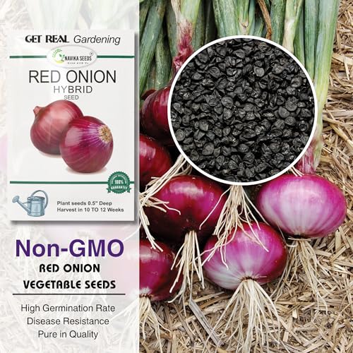 Image of Navika Seeds Red Onion & White Onion Seeds Combo (2 x 5g) for Home Gardening & Farming | High Germination | Organic Vegetable Seeds | Free Growing Guide Included