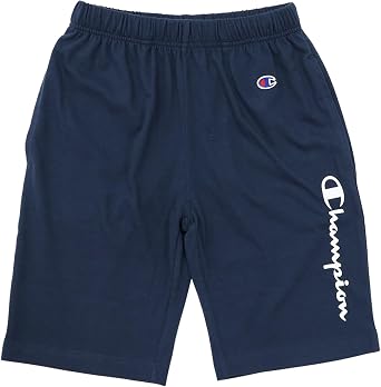 Champion           CK-ZS507