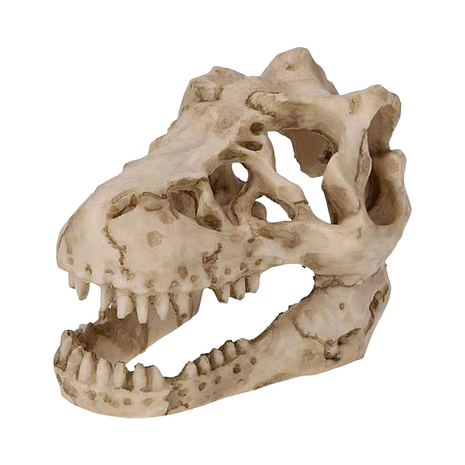 Nankoyal Skull Aquarium Decor,Novel Skull Cave Reptile Ornament Dinosaur Skull Decor | Unique Aquarium Terrarium Decoration Dinosaur Skeleton Ornaments for Reptile Amphibian Habitats