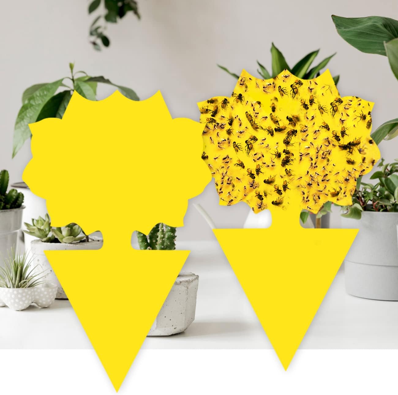 12 Pack Sticky Traps Fruit Fly Traps for Indoors, Fungus Gnat Traps for House Indoor Gnat Killer, House Plant Yellow Sticky Trap Fly Trap Bug Killer Gnat Trap for Plants