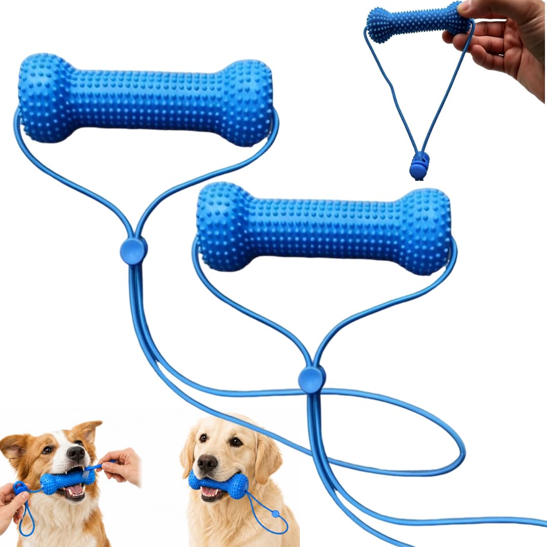 Zahnarzt-Requisite für Hunde mit doppelter Wirkung, Kauspielzeug für die