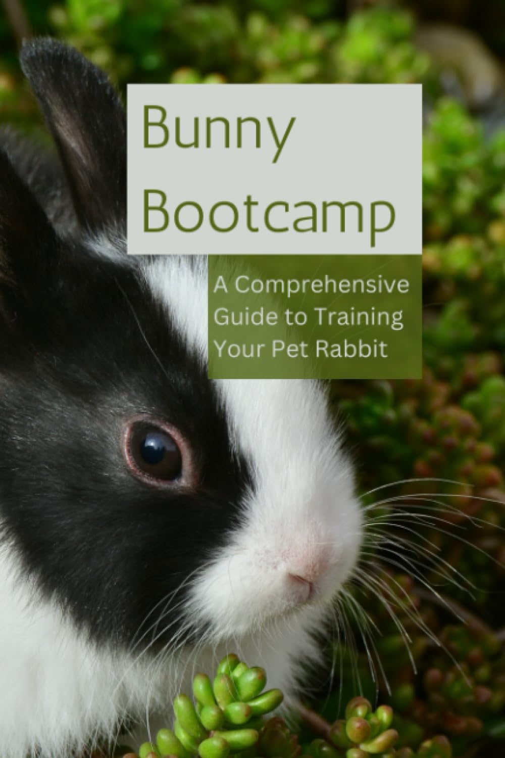Bunny Bootcamp: A Comprehensive Guide to Training Your Pet Rabbit