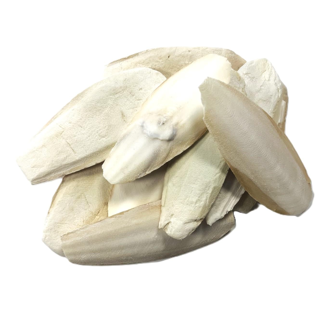 50g Premium Quality Small Cuttlefish Bone Suitable for Cage Birds, Reptiles etc. CLD