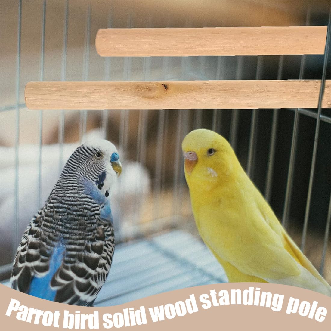 Posatoi in Legno di Uccelli,6 Pezzi Posatoio per Pappagalli, Posatoi per Pappagalli, Giochi per Pappagalli Giocattoli per Pappagalli Accessorio per Gabbia per Uccelli per Cacatua, Parrocchetto
